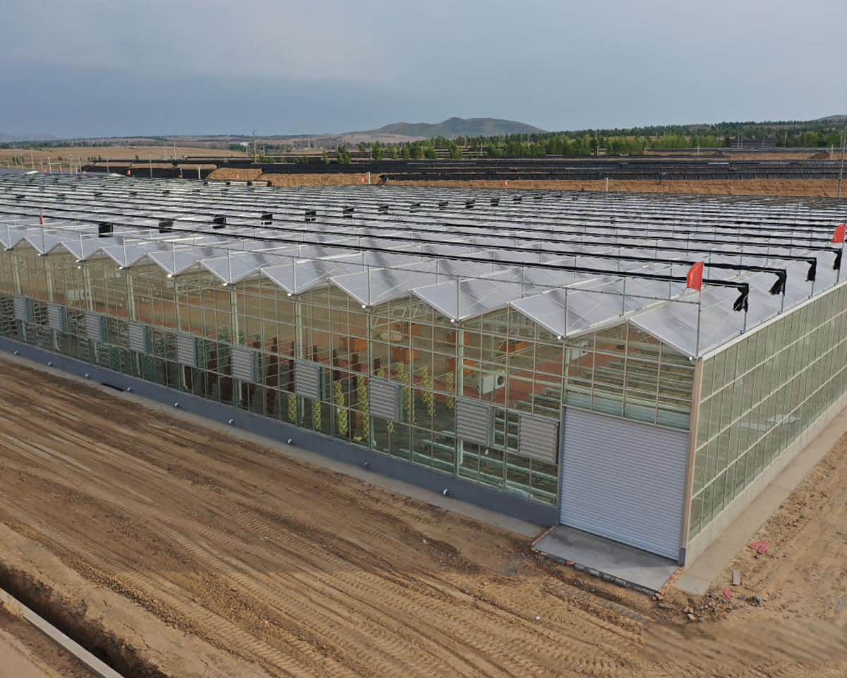 Sunny panel detached greenhouse greenhouse